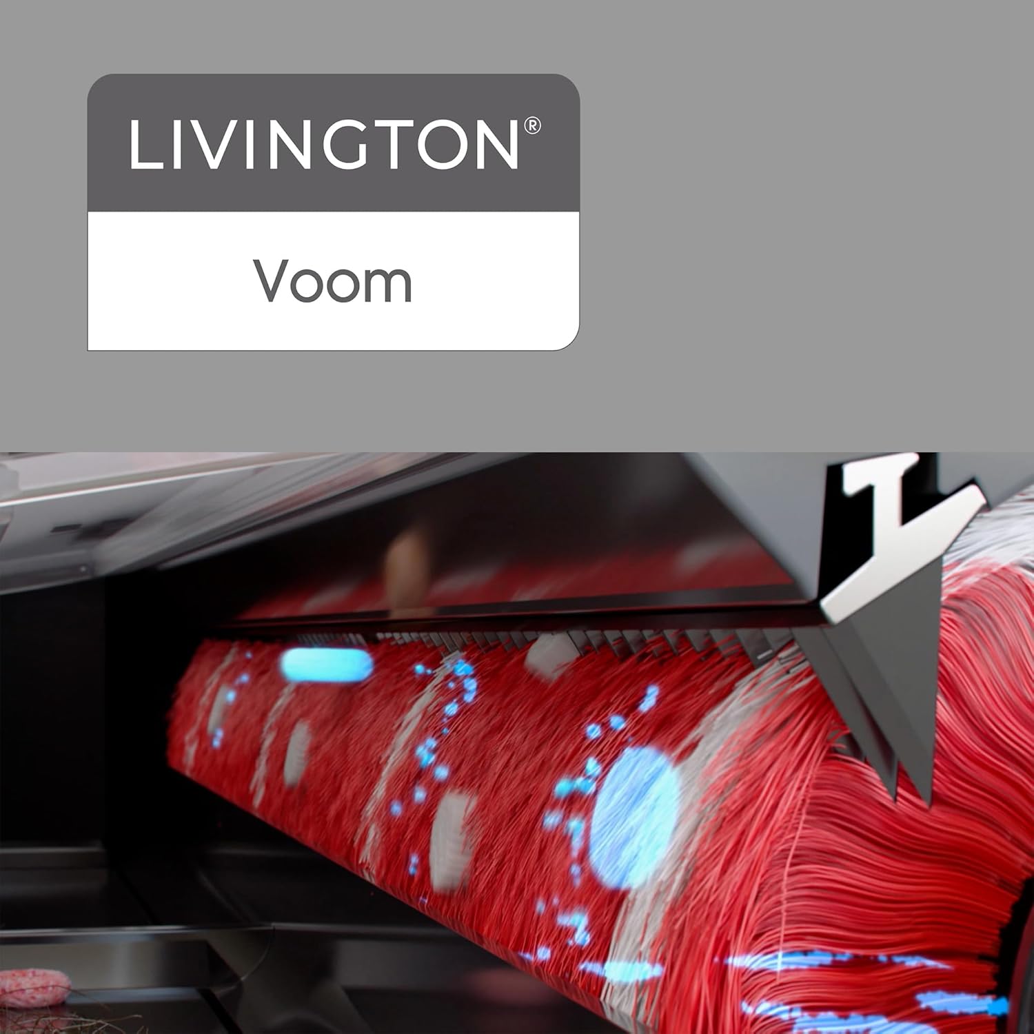 Livington Voom