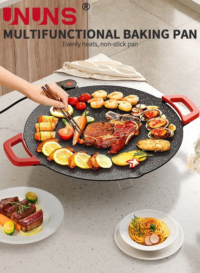Electric BBQ Grill